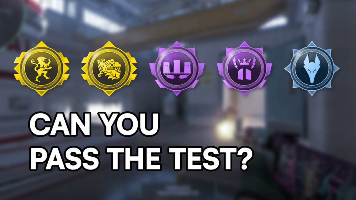 Bootcamp Exams &#8211; Test Yourself and Show Your Mastery.