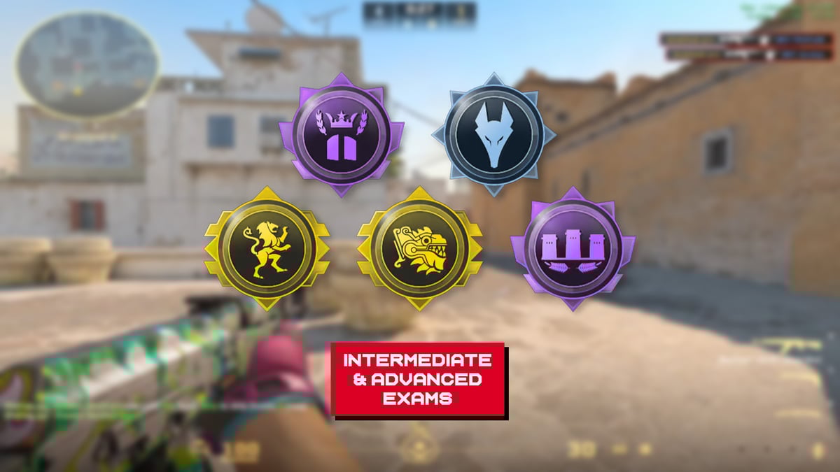 Bootcamp Update! Intermediate and Advanced Exams are here.