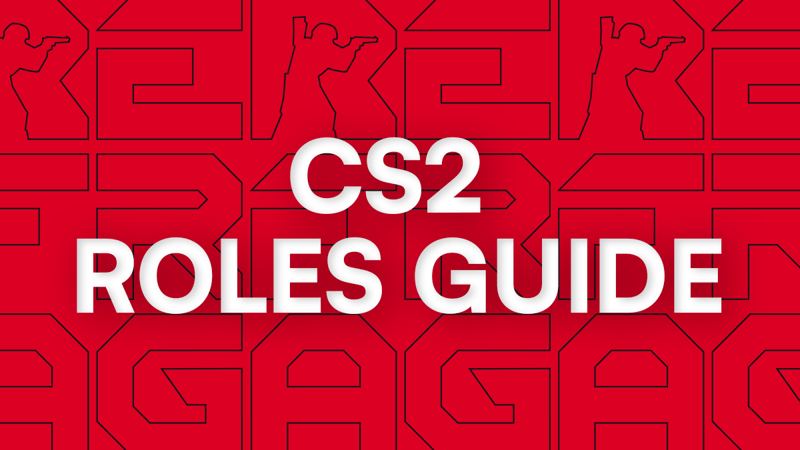 CS2 Team Roles Explained